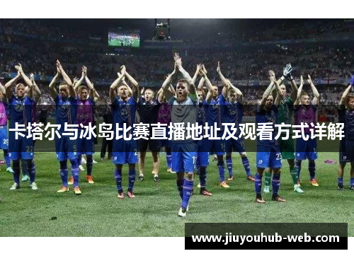 卡塔尔与冰岛比赛直播地址及观看方式详解