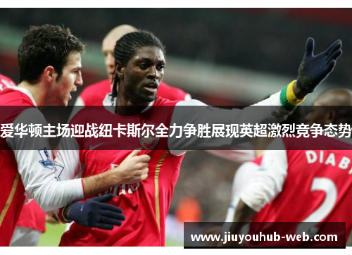 爱华顿主场迎战纽卡斯尔全力争胜展现英超激烈竞争态势